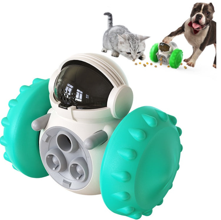 Easy Ways to Keep Indoor Cats Active and Healthy