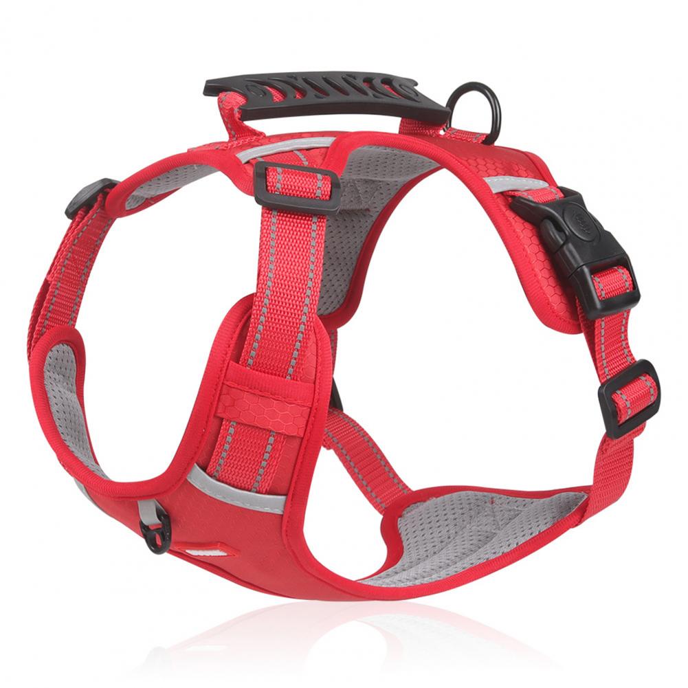 Comfortable Dog Harness for Better Walks and Training 1