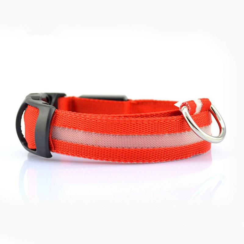 Glow Collar for Safer, Stress-Free Evening Walks 1