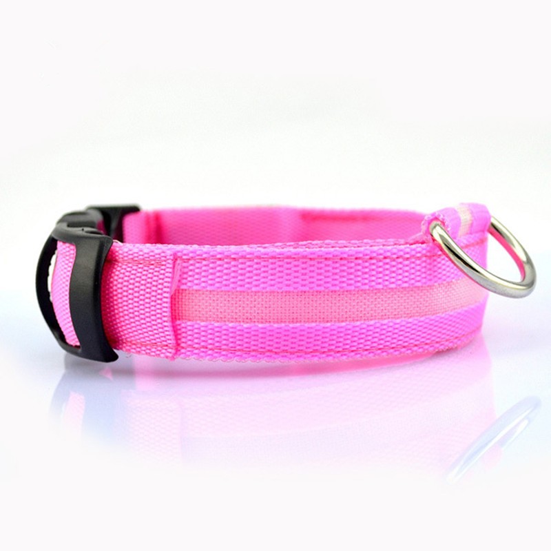 Glow Collar for Safer, Stress-Free Evening Walks 1