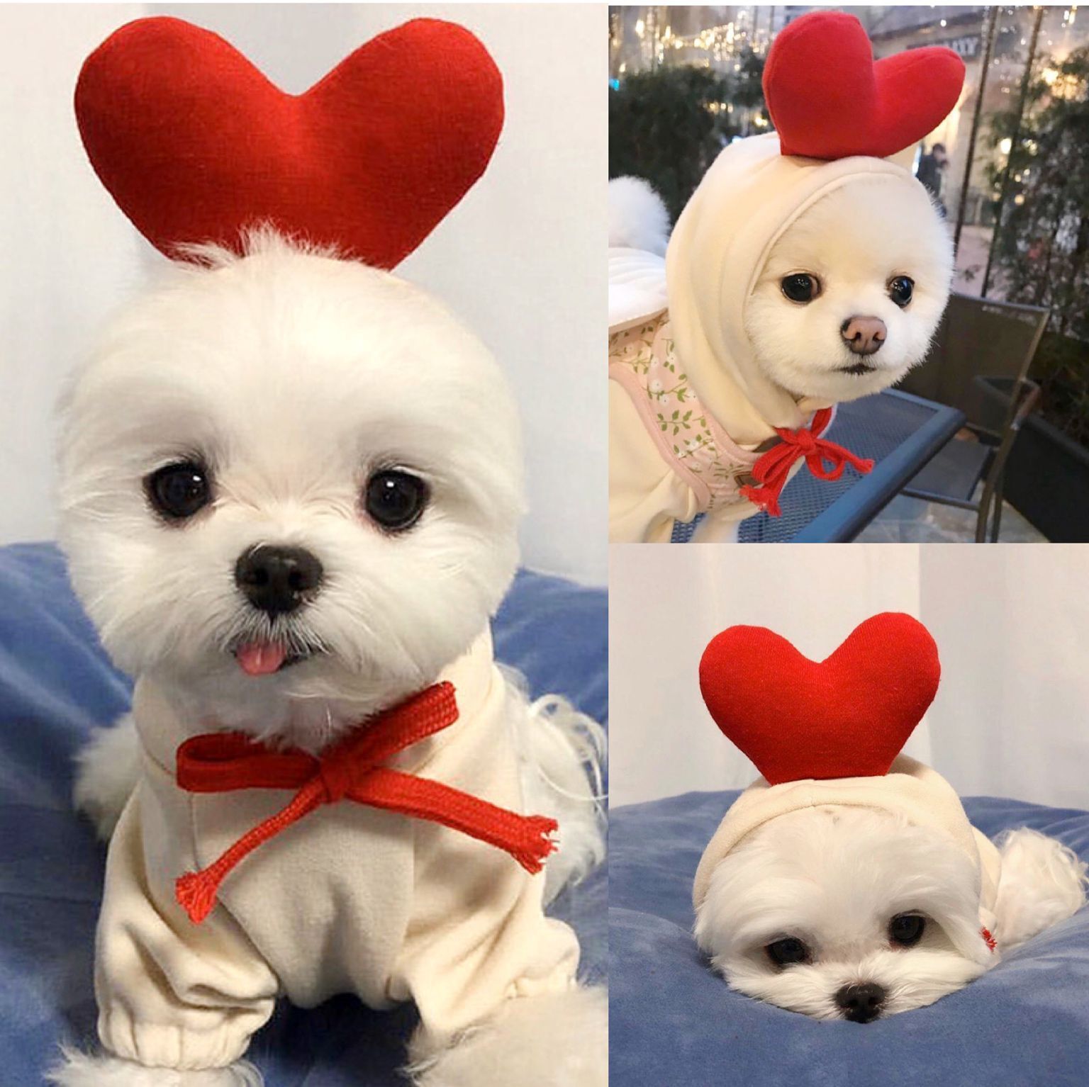 Cute Fruit Dog Clothes For Small Dogs Hoodies Winter Warm Fleece Pet Clothing Puppy Cat Costume Coat For French Chihuahua Outfit 1