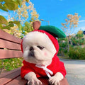 Cute Fruit Dog Clothes For Small Dogs Hoodies Winter Warm Fleece Pet Clothing Puppy Cat Costume Coat For French Chihuahua Outfit 1