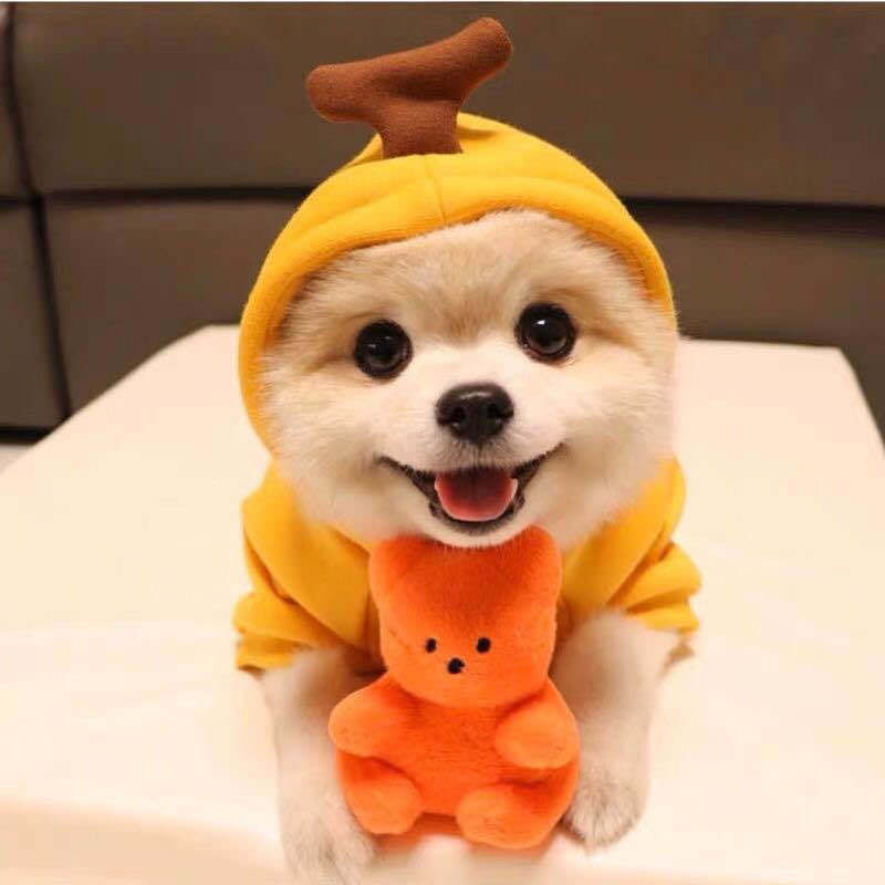 Cute Fruit Dog Clothes For Small Dogs Hoodies Winter Warm Fleece Pet Clothing Puppy Cat Costume Coat For French Chihuahua Outfit 1