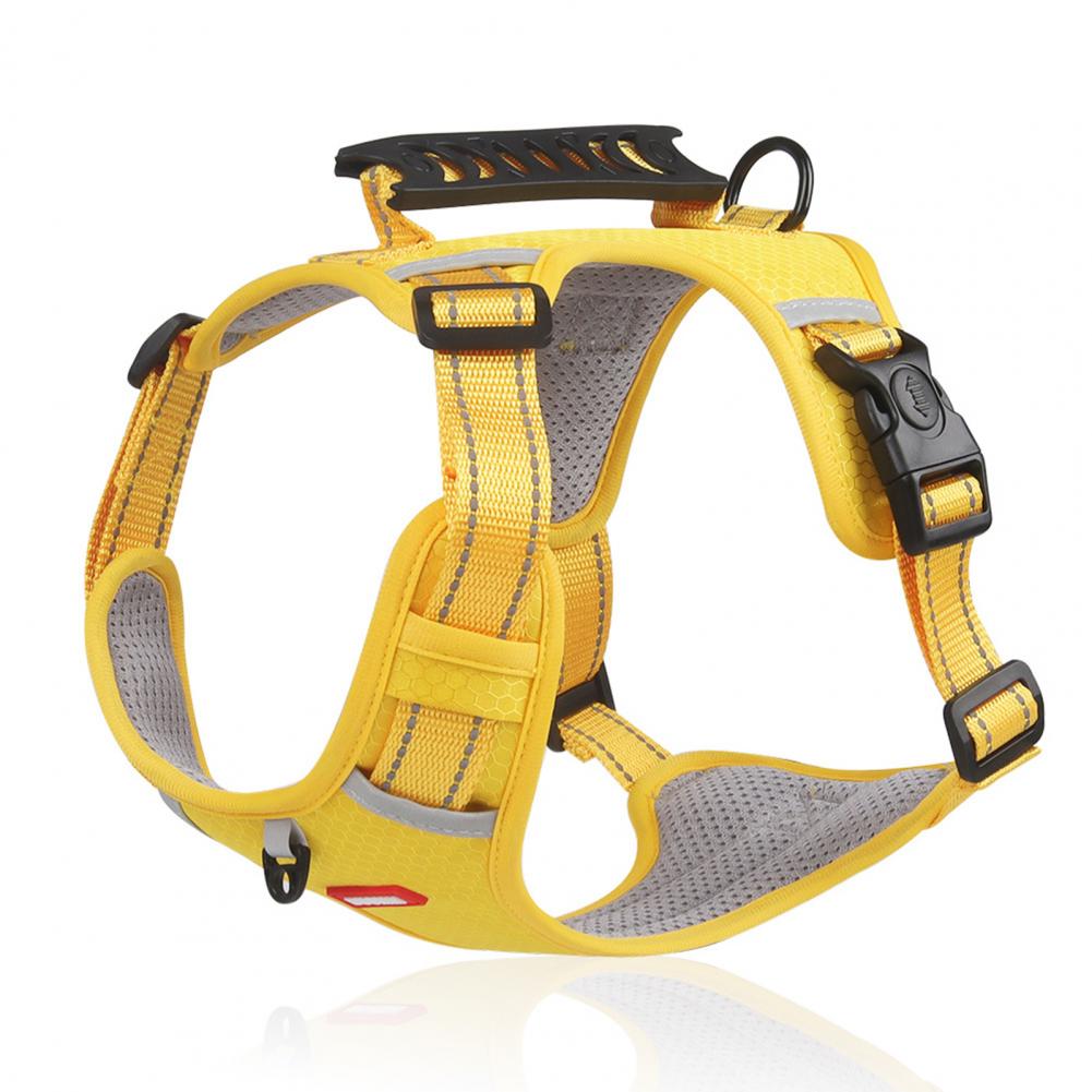 Comfortable Dog Harness for Better Walks and Training 1