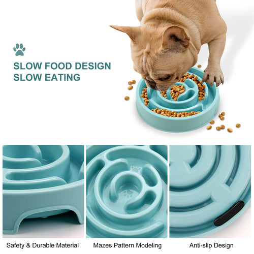 Anti-Choking Slow Feeder Bowl for Happy, Healthy Dogs 1