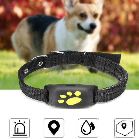 Smart GPS Tracker to Keep Your Pet Safe 1