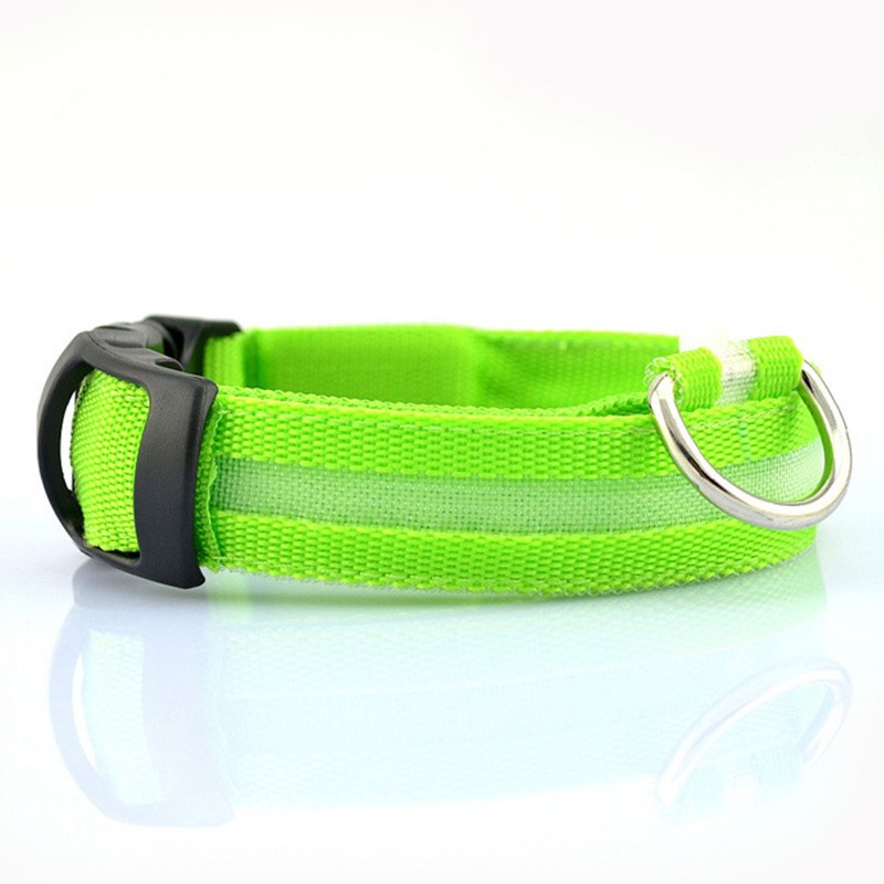 Glow Collar for Safer, Stress-Free Evening Walks 1
