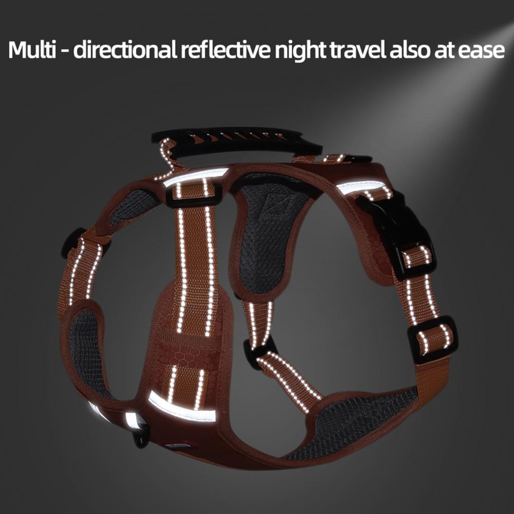 Comfortable Dog Harness for Better Walks and Training 1