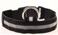 Glow Collar for Safer, Stress-Free Evening Walks 1