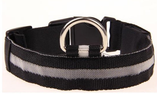 Glow Collar for Safer, Stress-Free Evening Walks 1