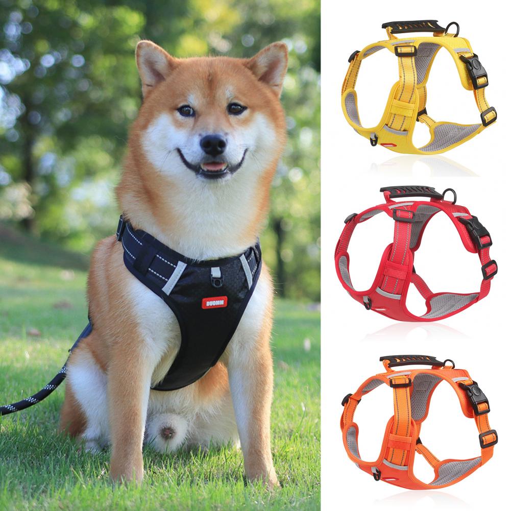 Comfortable Dog Harness for Better Walks and Training 1