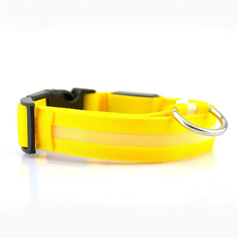 Glow Collar for Safer, Stress-Free Evening Walks 1