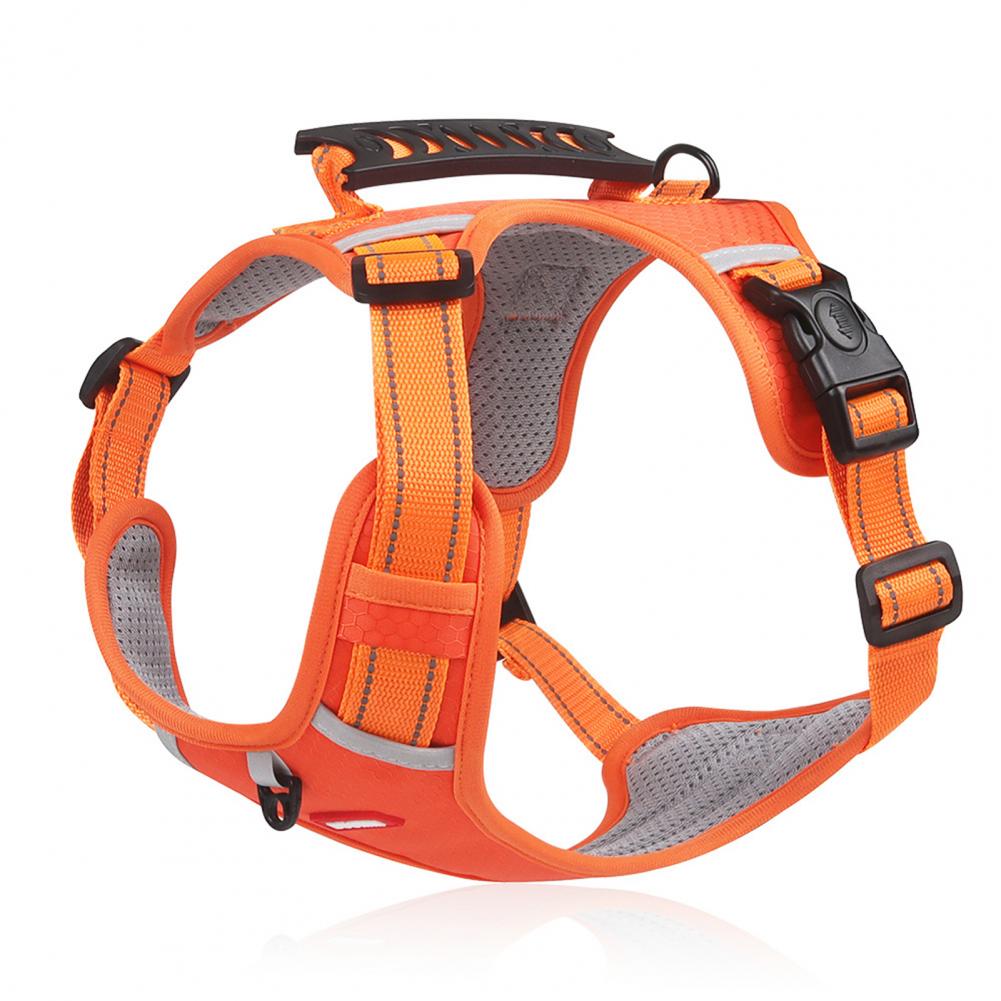 Comfortable Dog Harness for Better Walks and Training 1