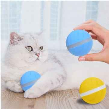 Smart Pet Toy Ball USB Charging 1