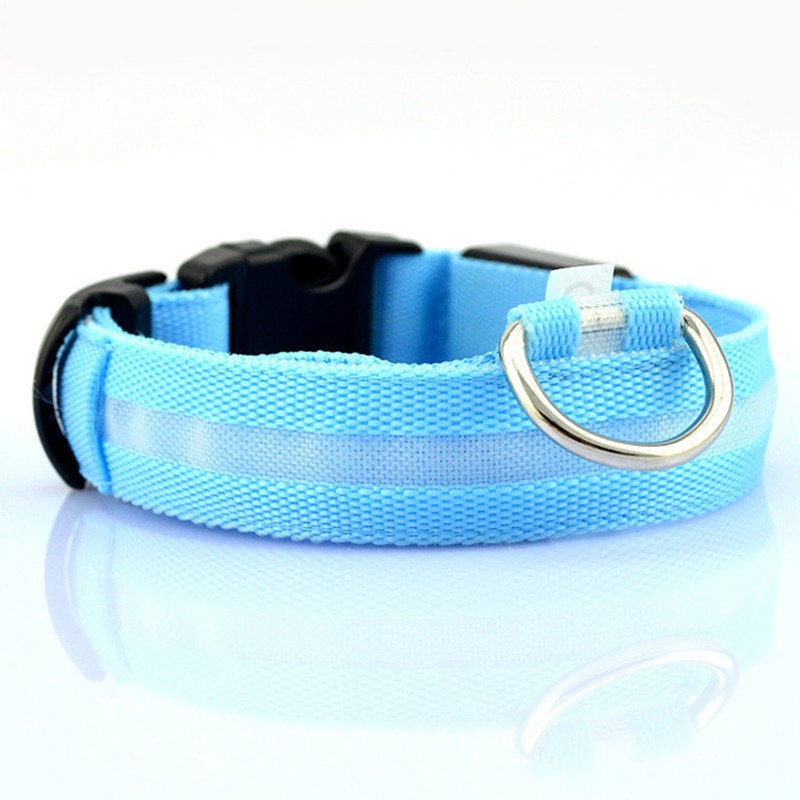 Glow Collar for Safer, Stress-Free Evening Walks 1
