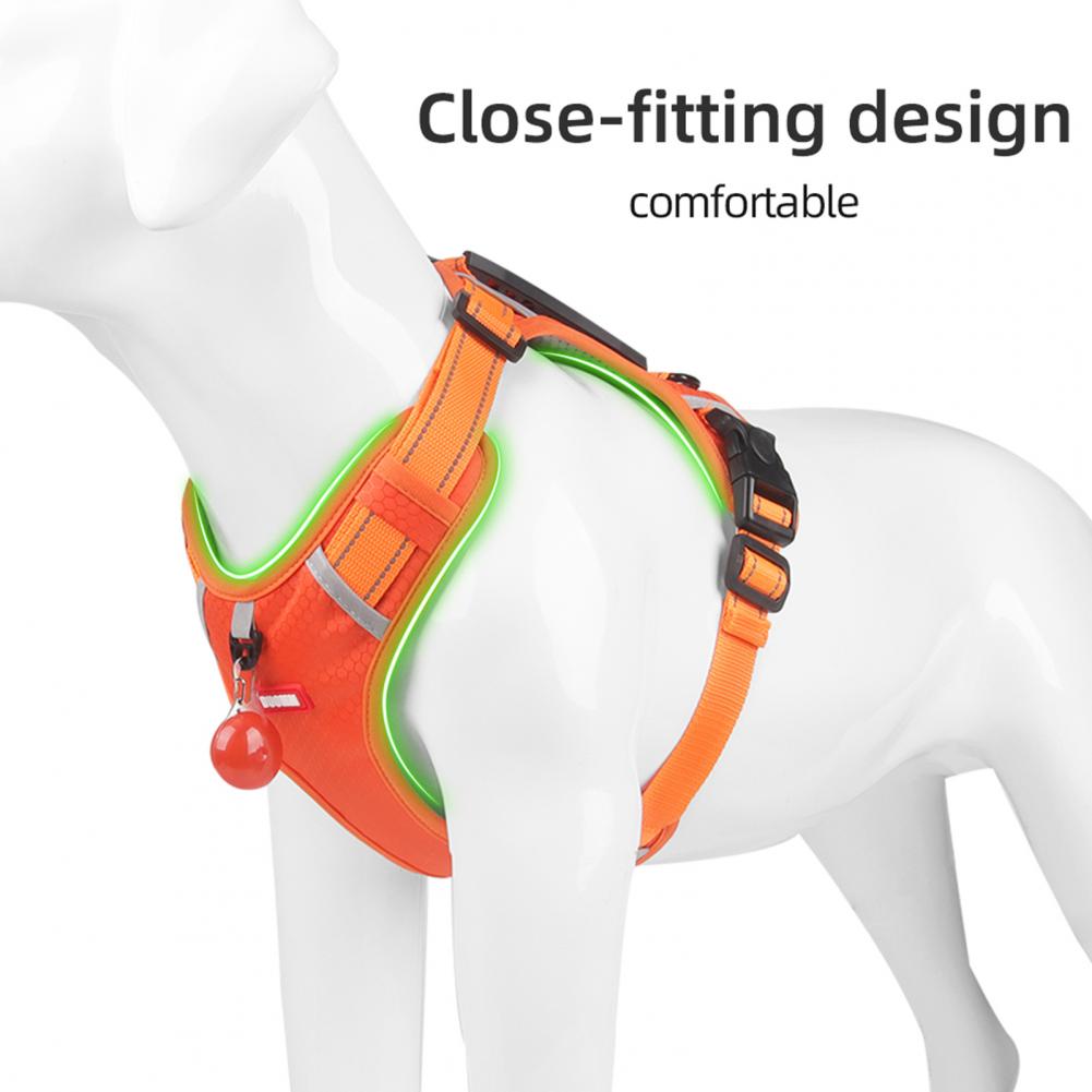Comfortable Dog Harness for Better Walks and Training 1