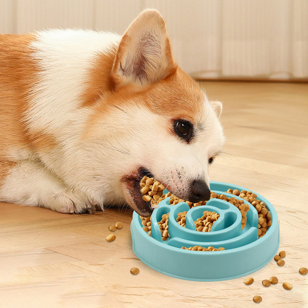 Anti-Choking Slow Feeder Bowl for Happy, Healthy Dogs 1