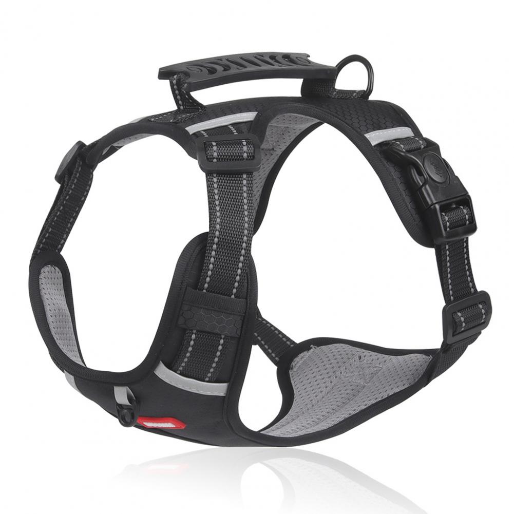 Comfortable Dog Harness for Better Walks and Training 1