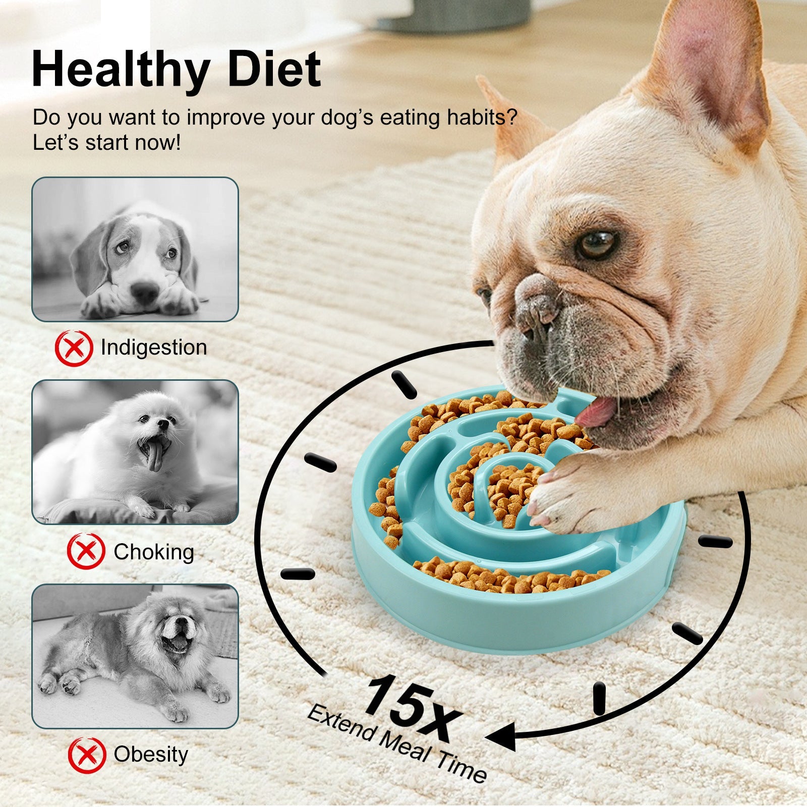 Anti-Choking Slow Feeder Bowl for Happy, Healthy Dogs 1