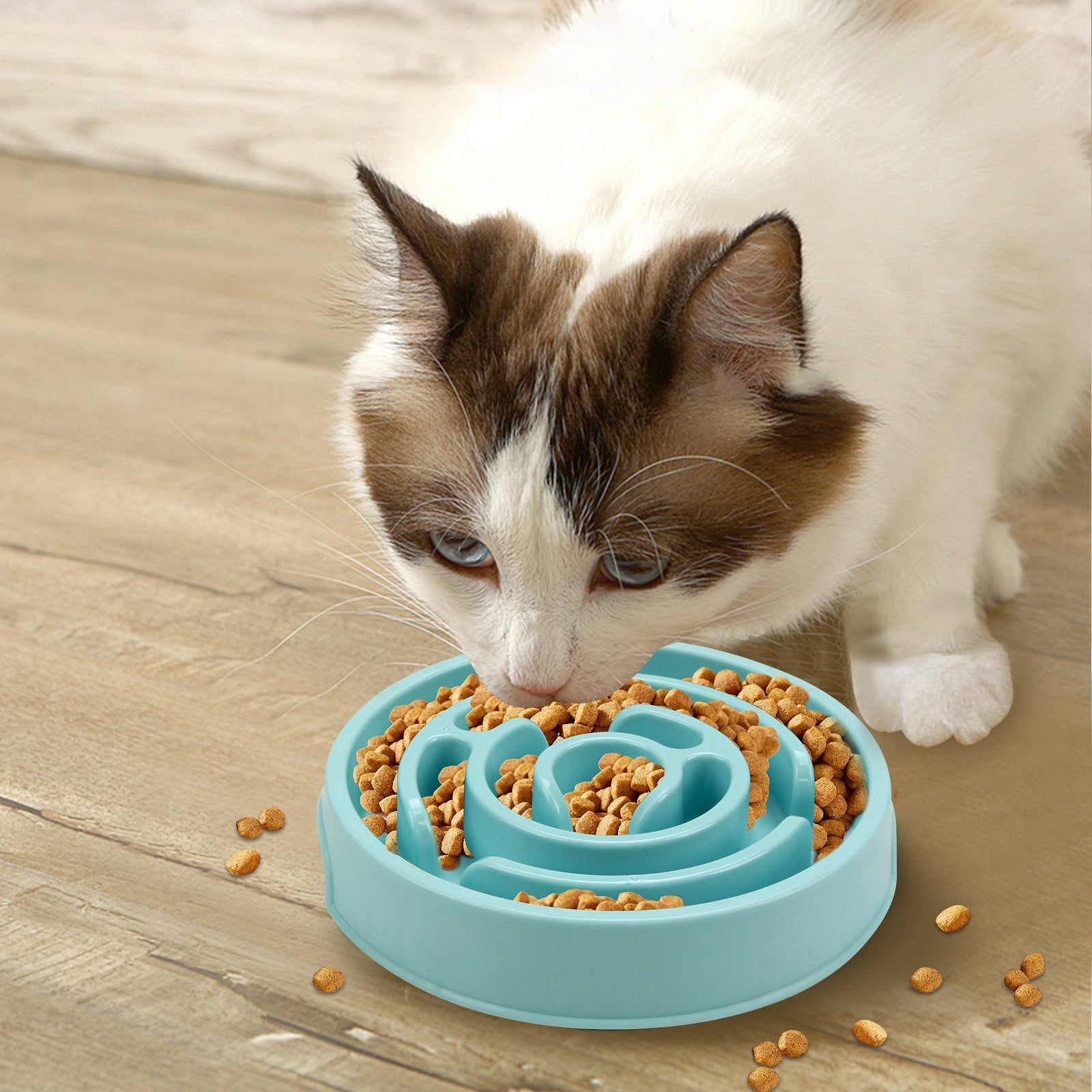Anti-Choking Slow Feeder Bowl for Happy, Healthy Dogs 1