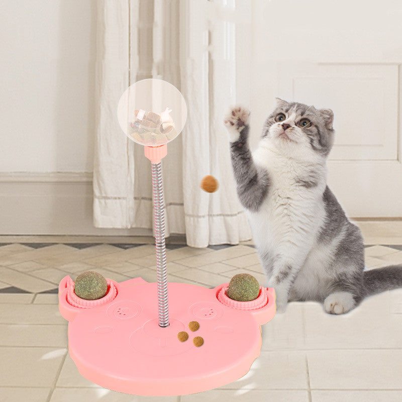 Turn Mealtime into Fun with This Pet Puzzle Feeder 1
